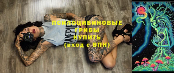 стафф Абинск